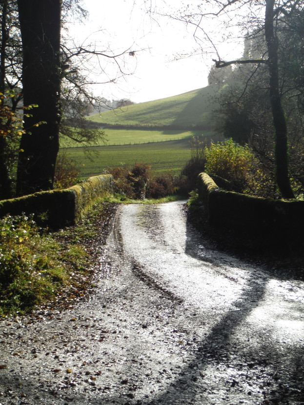 Autumn morning at Lyepole